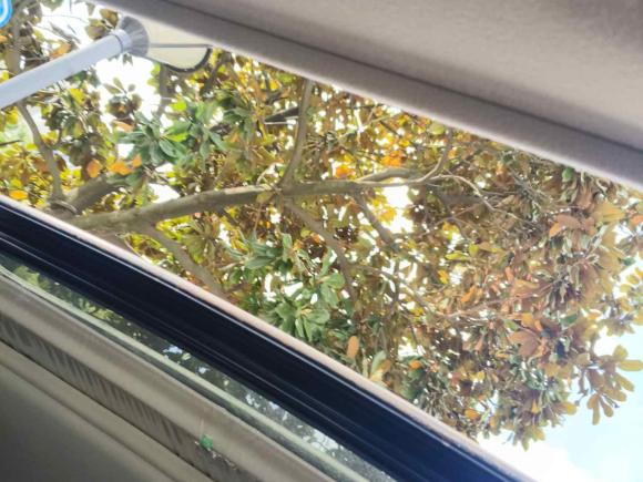 [上海·浙F] 二手三菱劲炫ASX2018款 2.0L CVT两驱尊享版