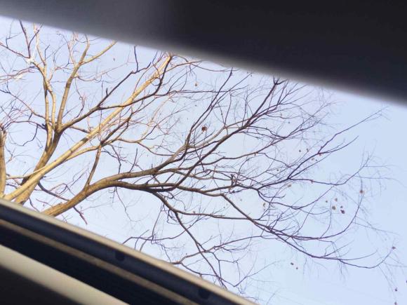 [南京·苏L] 二手荣威荣威i52021款 1.5L CVT钻石版