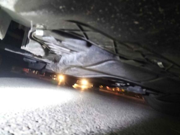 [青岛·鲁U] 二手大众迈腾2019款 280TSI DSG 舒适型 国VI