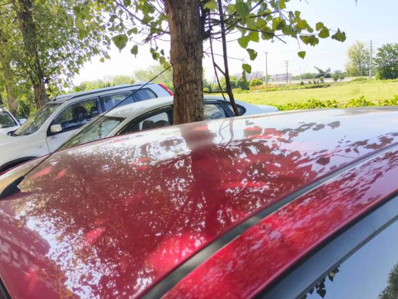 [成都·川G] 二手丰田YARiS L 致炫2014款 1.5G 自动炫动版