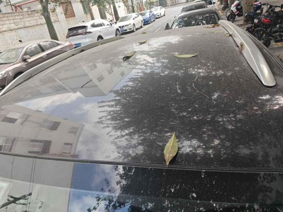 [深圳·湘E] 二手宝沃宝沃BX52017款 20TGDI 自动两驱新锐型