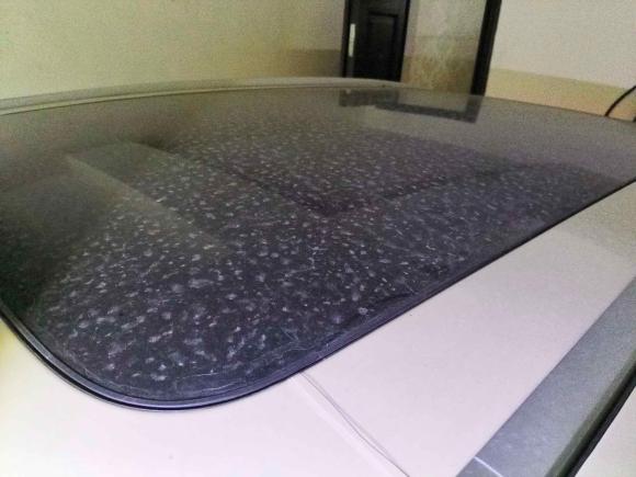 [成都·川A] 二手smartsmart精灵#12022款 Premium版