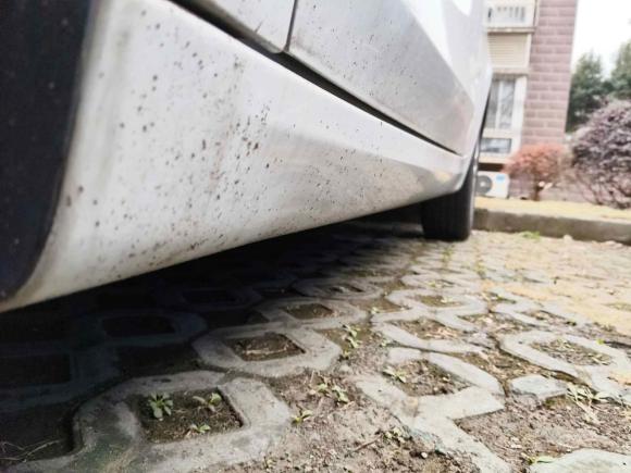 [上海·沪D] 二手荣威荣威3602018款 PLUS 1.5L 自动尊享版