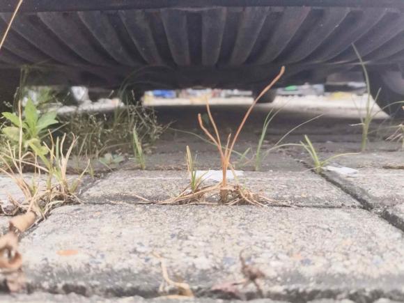 [上海·沪M] 二手奔驰奔驰C级2008款 C 200K 时尚型