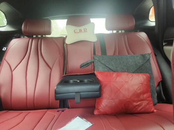 [义乌·浙G] 二手比亚迪宋PLUS新能源2021款 EV 尊贵型