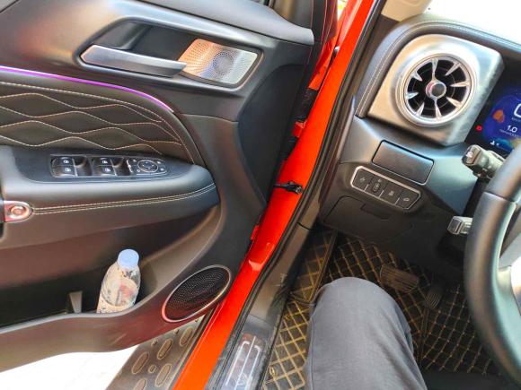 [义乌·皖A] 二手坦克坦克3002021款 越野版 2.0T 征服者