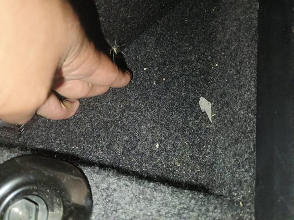 [合肥·皖A] 二手丰田雷凌2017款 改款 185T CVT精英版 国V