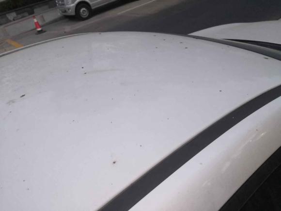 [深圳·粤L] 二手海马福美来2014款 M5 1.6L 自动精英型