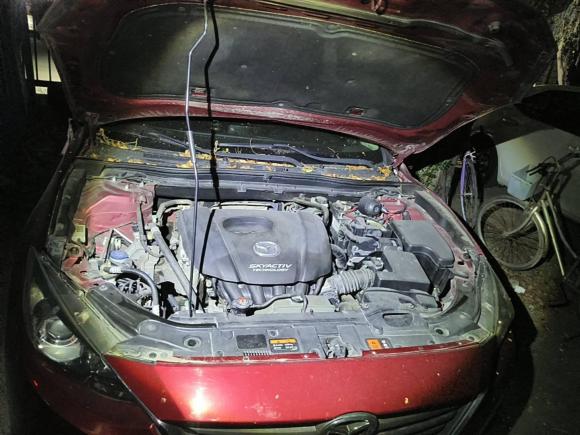 [佛山·粤E] 二手马自达马自达3 昂克赛拉2014款 三厢 1.5L 自动舒适型