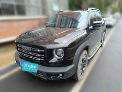 [合肥·皖A] 哈弗哈弗大狗2021款 改款 2.0T DCT四驱哮天犬版