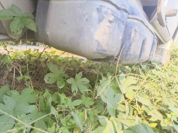 [济南·鲁A] 二手福田祥菱V2018款 1.2L 半承载3170轴距双排(平板)4W12M1