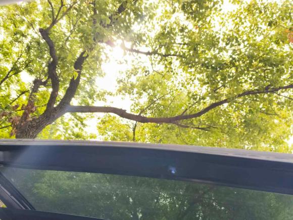 [南京·苏A] 二手欧拉欧拉好猫2021款 400km标准续航 雅典娜版 磷酸铁锂