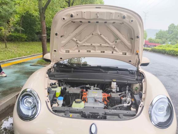 [杭州·浙A] 二手欧拉欧拉好猫2023款 401km标准续航 豪华型 三元锂