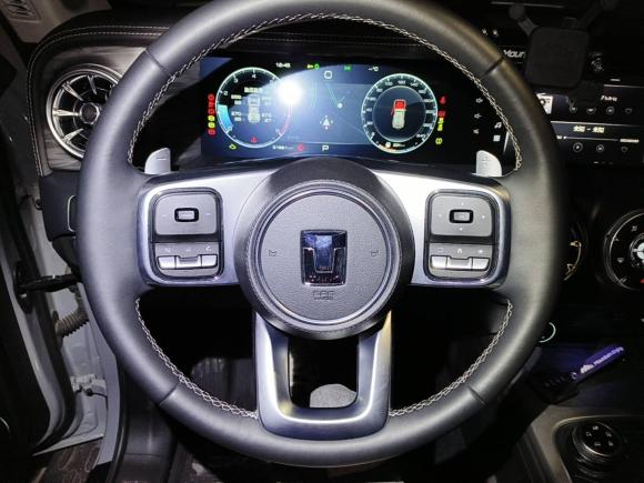 [南京·苏A] 二手坦克坦克3002021款 越野版 2.0T 征服者