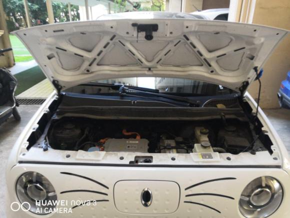 [上海·沪A] 二手欧拉欧拉黑猫2021款 351km 标准型