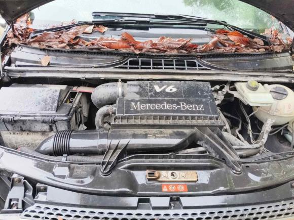 [温州·浙C] 二手奔驰唯雅诺2010款 2.5L 尊贵版