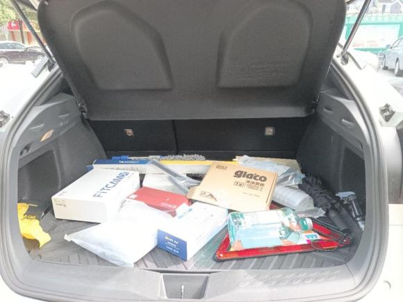 [深圳·粤B] 二手丰田丰田C-HR2020款 2.0L 领先版