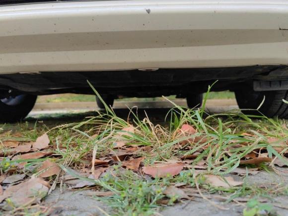 [苏州·苏F] 二手比亚迪秦2019款 1.5L 自动豪华型