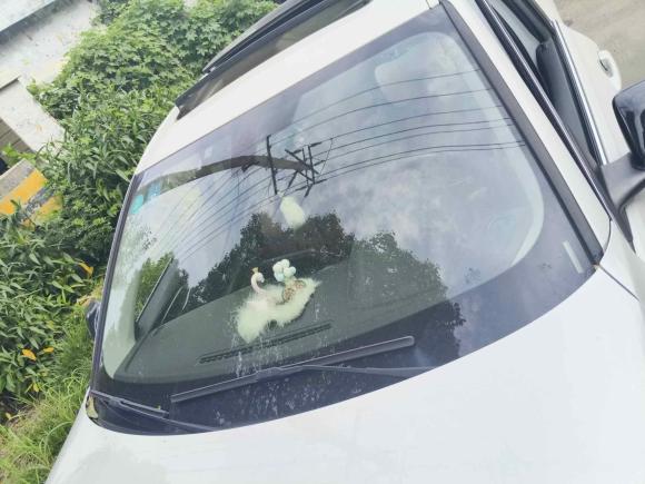 [上海·浙B] 二手宝马宝马1系2017款 118i 运动型