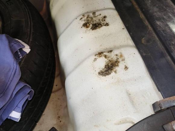 [佛山·粤A] 二手本田飞度2008款 1.3L 自动舒适版