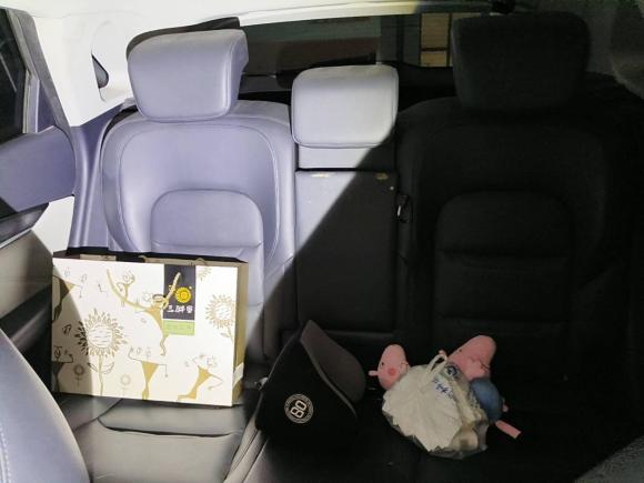 [温州·浙C] 二手威马汽车威马EX52020款 EX5-Z Fun动感版