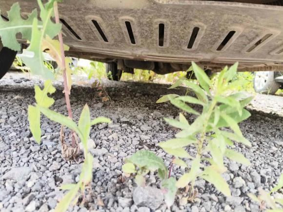 [宁波·豫P] 二手五菱汽车五菱荣光V2016款 1.5L标准型