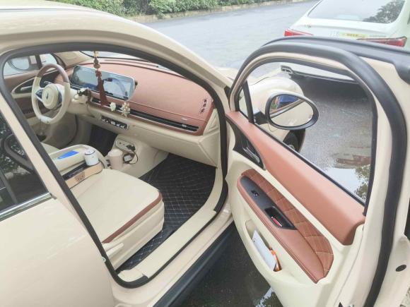 [杭州·浙A] 二手欧拉欧拉好猫2023款 401km标准续航 豪华型 三元锂