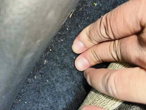 [合肥·皖A] 二手名爵名爵ZS2020款 180DVVT 自动Lite