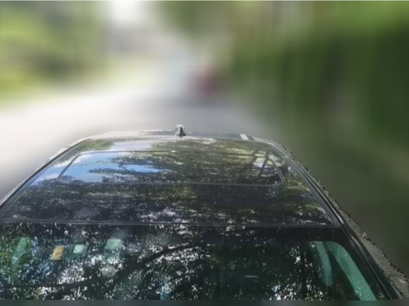 [广州·粤S] 二手广汽传祺传祺GA82017款 320T 尊享版