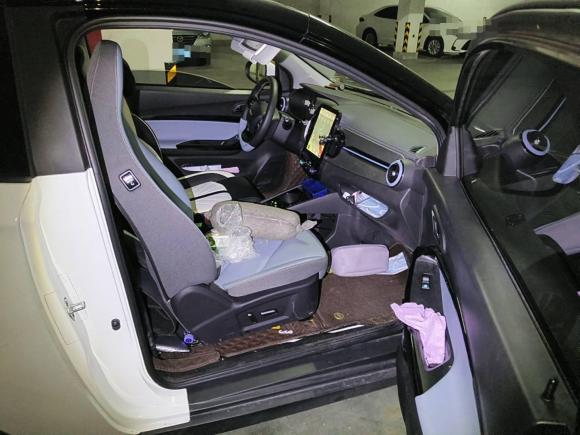 [合肥·皖A] 二手奇瑞新能源小蚂蚁2022款 甜粉款 半糖版 三元锂 30kW 301km