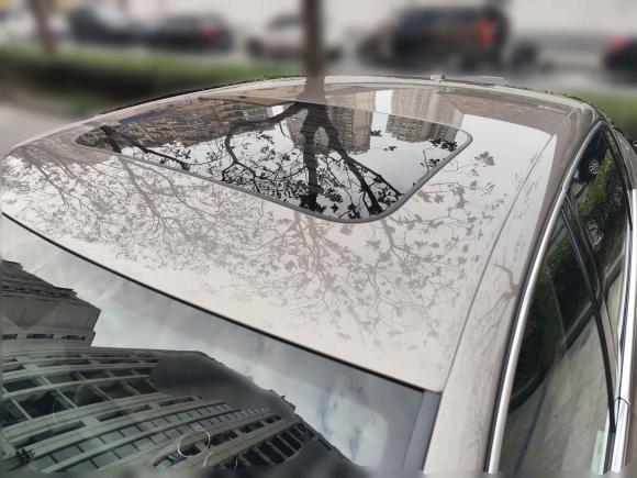 [杭州·浙A] 二手大众辉腾2009款 3.6L V6 4座加长行政版