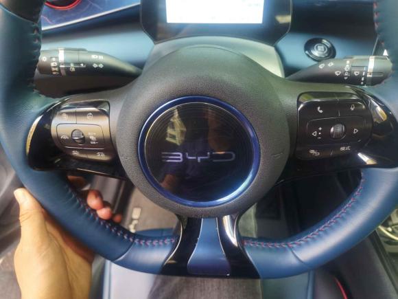 [金华·浙G] 二手比亚迪海豚2021款 401km 骑士版