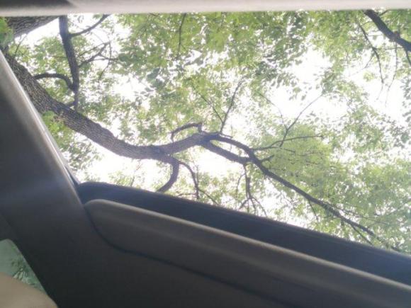 [上海·甘N] 二手日产轩逸2016款 经典 1.6XE 自动领先版