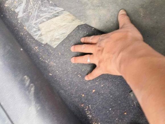 [苏州·苏U] 二手奇瑞艾瑞泽GX2019款 1.5T CVT新型色版 国V