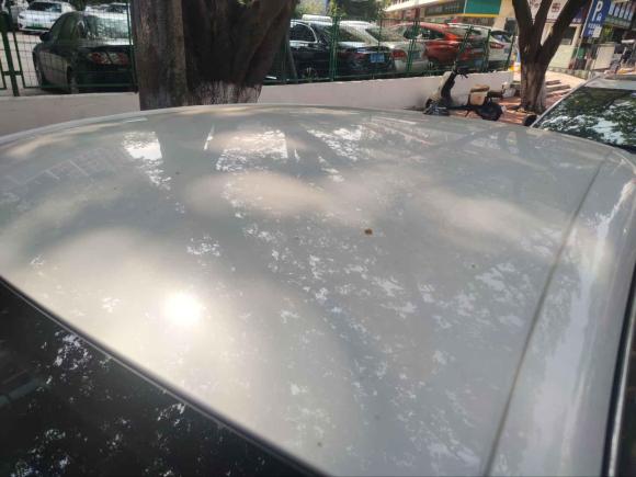 [广州·粤A] 二手荣威科莱威CLEVER2022款 311km元气啵啵版