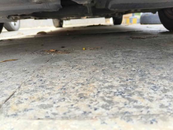 [佛山·粤E] 二手丰田雷凌2017款 改款 185T CVT精英版 国V