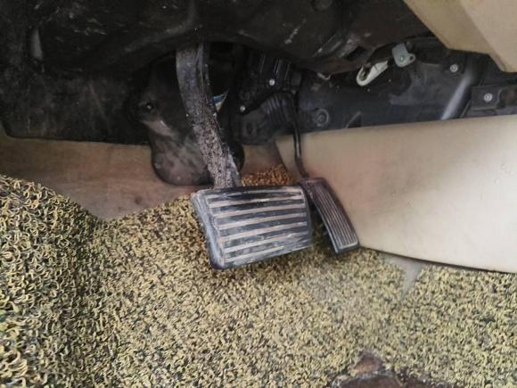 [青岛·鲁B] 二手本田雅阁2008款 2.0L EX