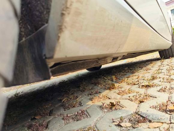 [上海·沪C] 二手奔驰奔驰E级2010款 E 260 L CGI优雅型