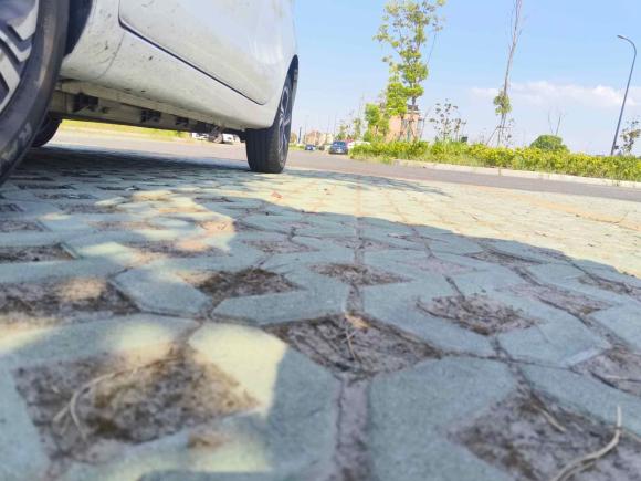 [杭州·浙B] 二手长安长安奔奔E-Star2022款 清心版 多彩款 磷酸铁锂