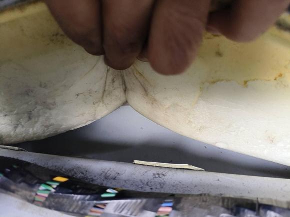 [成都·川A] 二手名爵名爵ZS2018款 1.5L 自动豪华版 国V