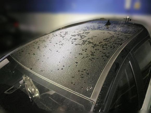 [合肥·皖A] 二手思皓花仙子2022款 花仙子款 四叶草