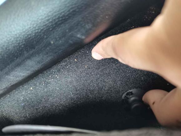 [苏州·苏E] 二手零跑汽车零跑C112021款 改款 豪华版