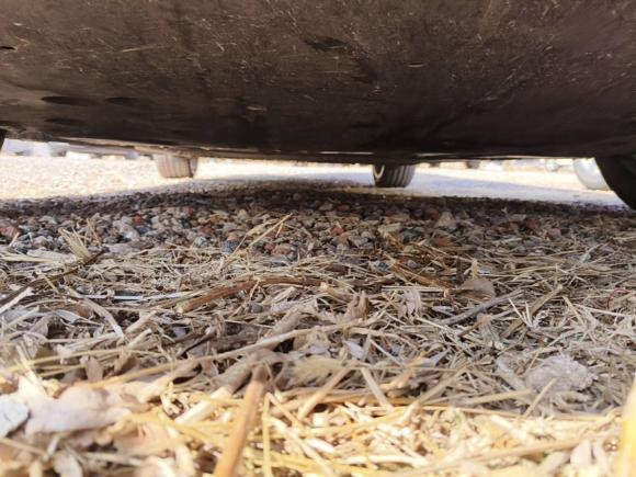 [北京·京A] 二手岚图汽车岚图追光2024款 PHEV 四驱超长续航旗舰版