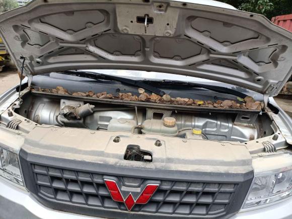 [无锡·豫P] 二手五菱汽车五菱荣光小卡2019款 1.5L基本型双排L3C