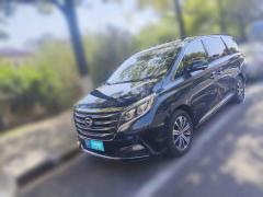 [上海·沪F] 广汽传祺传祺M82018款 320T 旗舰版