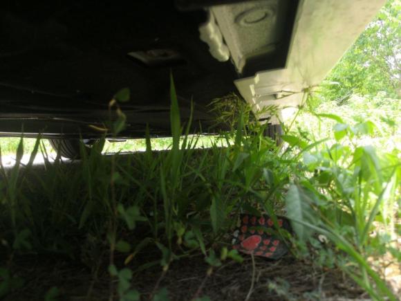 [南京·苏A] 二手本田型格2022款 240TURBO CVT科技版