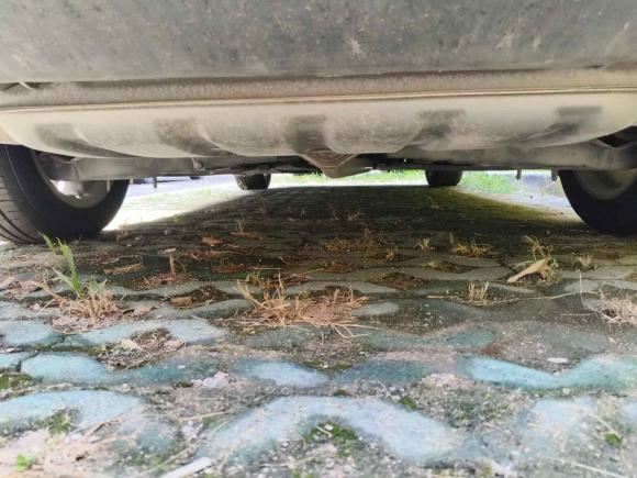 [上海·沪F] 二手马自达阿特兹2017款 2.0L 蓝天豪华版