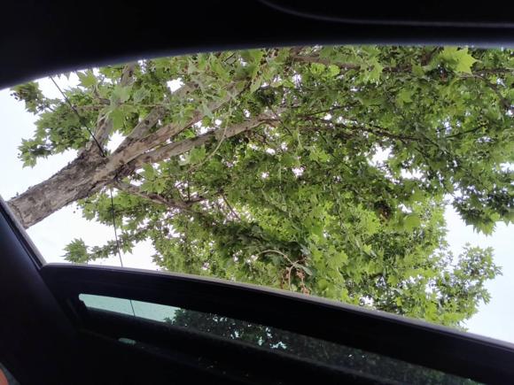 [西安·陕E] 二手林肯领航员2018款 3.5T 尊耀版 国V