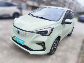 长安长安奔奔E-Star2022款 赏心版 多彩款 磷酸铁锂