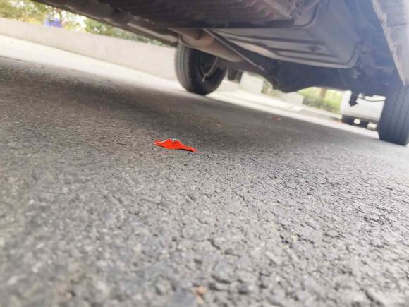 [杭州·浙H] 二手福特经典全顺2013款 2.8T改款柴油厢式运输车短轴中顶JX493ZLQ4